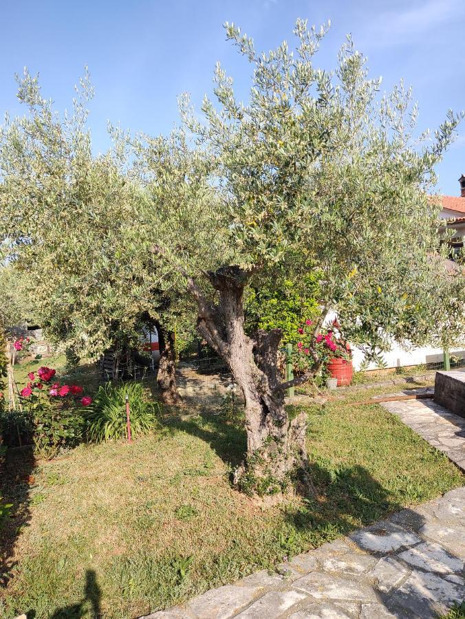 App Klabot *** Apartment Umag Exterior photo